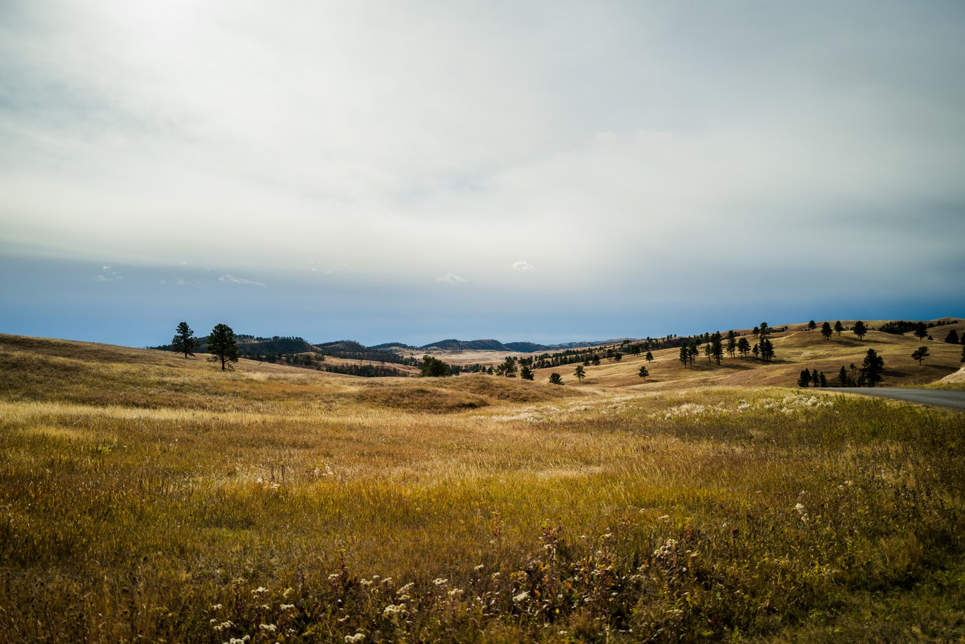 Open country